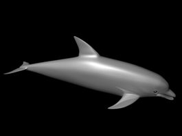 Baby Dolphin 3d model preview