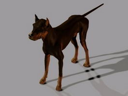 Black Dog 3d model preview