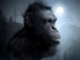 Chimpanzee Head 3d model preview