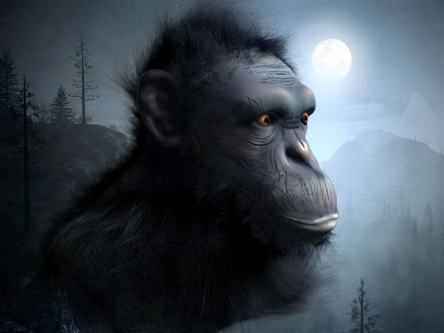 Chimpanzee Head 3d rendering