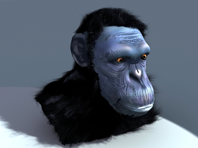 Chimpanzee Head 3d rendering