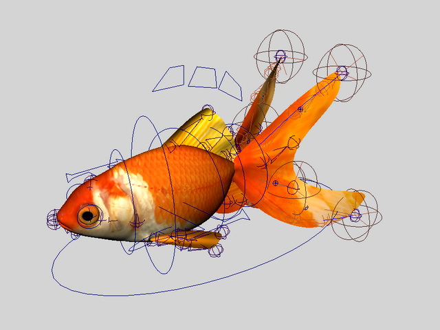 Animated Goldfish Rig 3d rendering