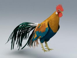 Beautiful Rooster 3d model preview