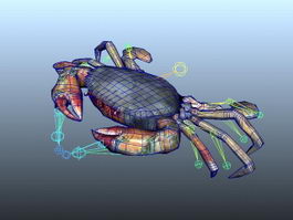 Crab Animated Rig 3d preview