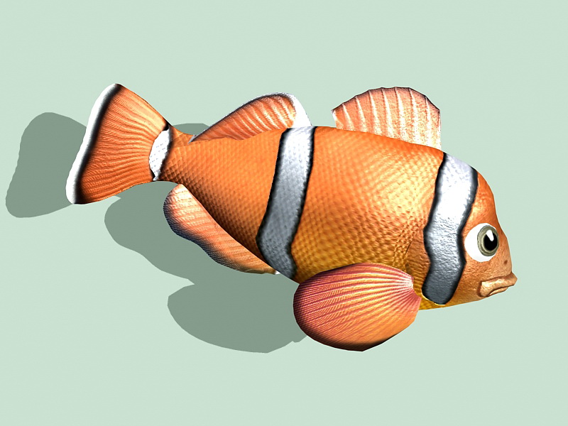 Clownfish Animated Rig 3d rendering