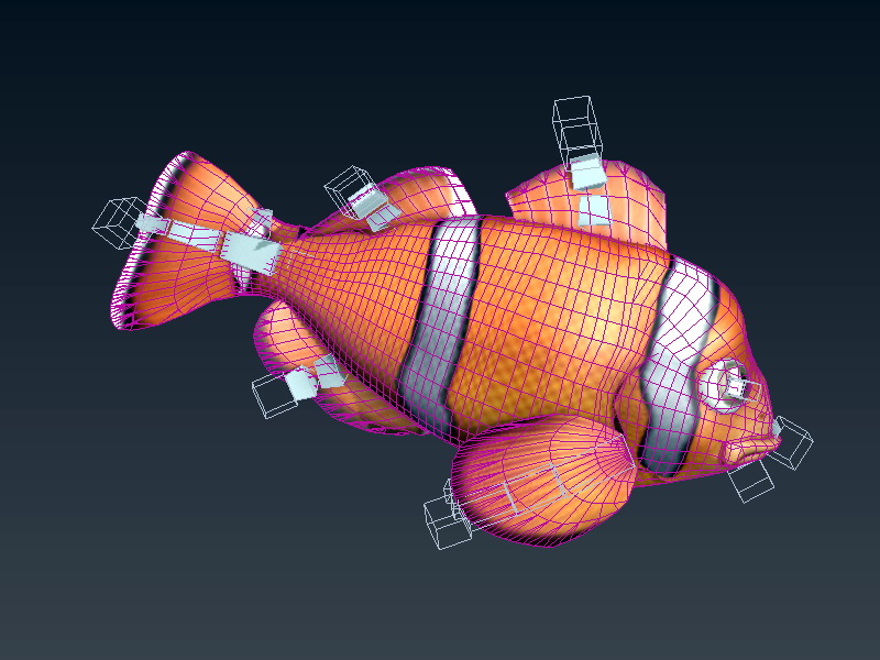 Clownfish Animated Rig 3d rendering