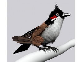 Red-whiskered Bulbul 3d preview
