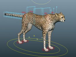 Cheetah Running Rig 3d preview