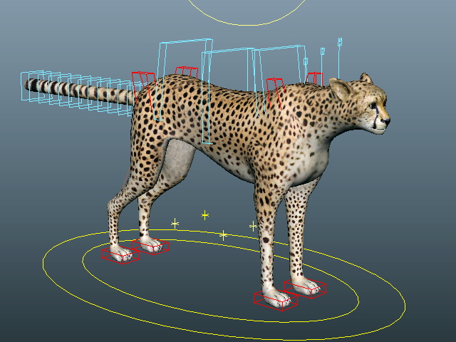Cheetah Running Rig 3d rendering