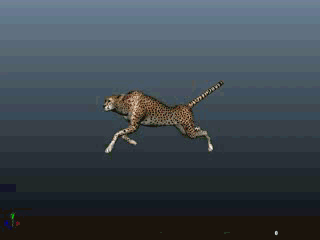 Cheetah Running Rig 3d rendering