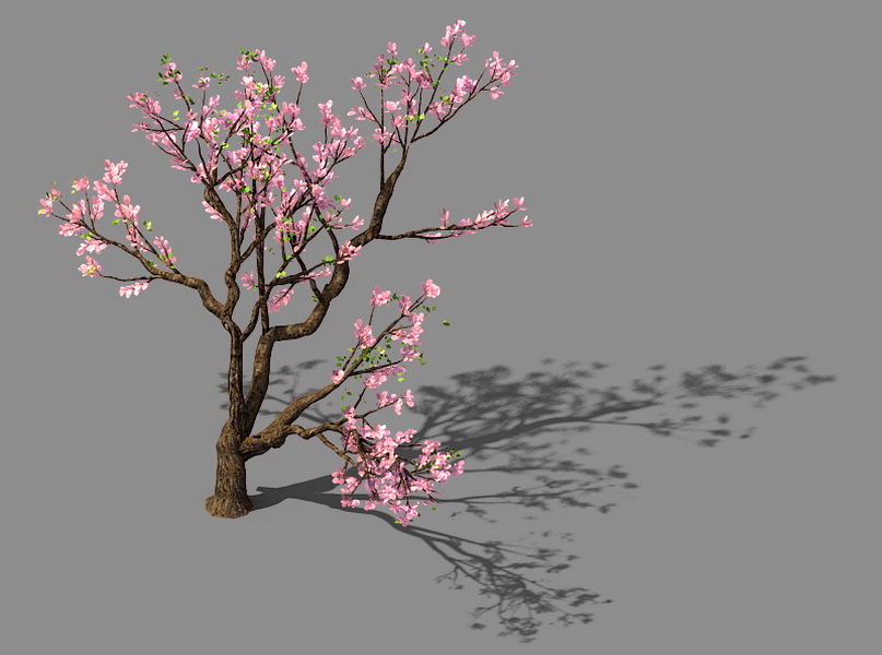 Pink Flowering Peach Tree 3d rendering