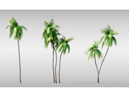 Palm Trees 3d model preview