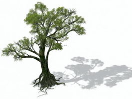 Old Tree 3d model preview