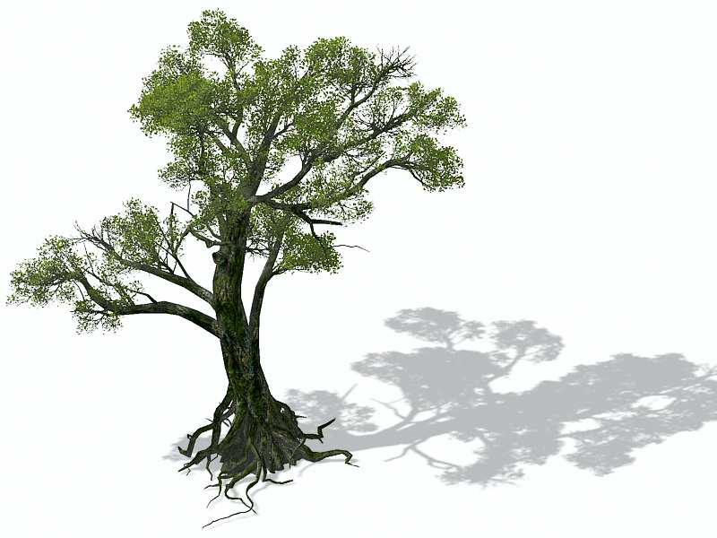 Old Tree 3d rendering