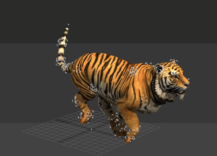 OBJ file TIGER DOWNLOAD Bengal TIGER 3d model animated for blender