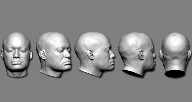 Три затылка. Макет головы человека. 3д модель головы. 3д голова человека. Модель головы человека 3d.