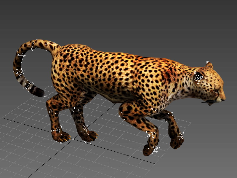 Cheetah Running Animated & Rig 3d model - CadNav