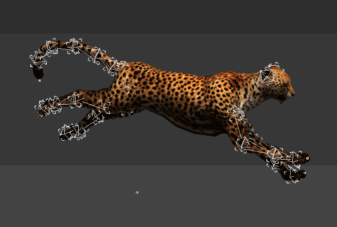 Cheetah Running Animated & Rig 3d model - CadNav