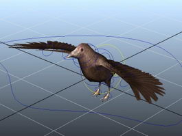 Crow Rig 3d preview