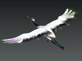 Crane Bird Animated Rig 3d model preview