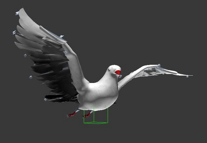 White Pigeon Animated Rig 3d rendering