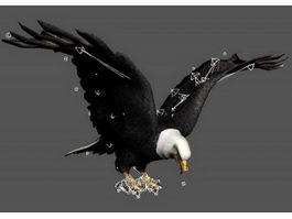 Eagle Attacking Rig 3d model preview