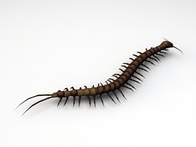 Animated Centipede Rig 3d rendering
