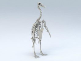 Emperor Penguin Skeleton 3d model preview