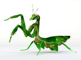 Praying Mantis 3d model preview