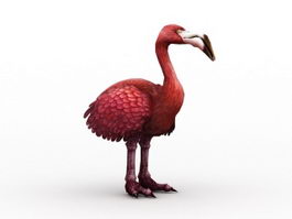 Toucan Breed Ostrich 3d model preview