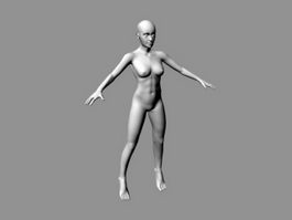 Female Body Base 3d preview