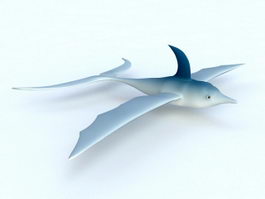 Flying Dolphin 3d preview