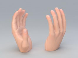 Left Hand 3d model preview