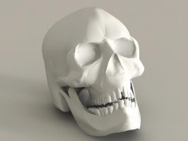 Human Skull 3d preview