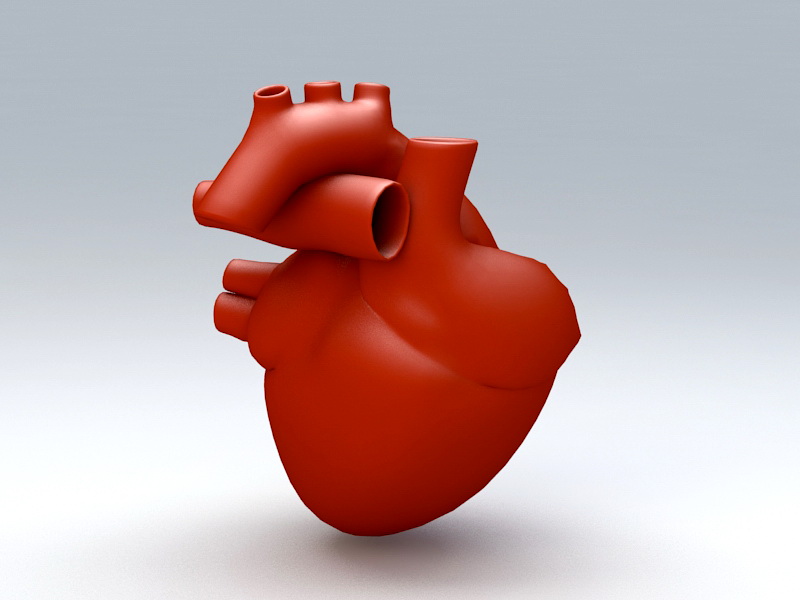 Human Heart 3d rendering