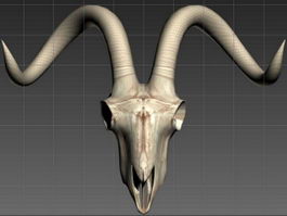Ram Skulls 3d preview