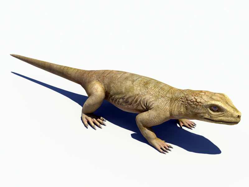 Realistic Lizard Rig 3d rendering