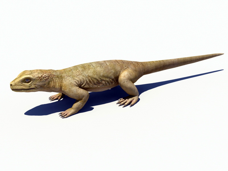 Realistic Lizard Rig 3d rendering