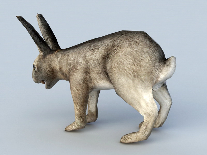 Hare Rabbit 3d rendering