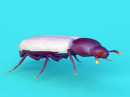 Stag Beetle 3d preview