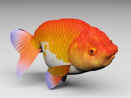 Lionhead Goldfish 3d preview