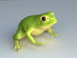 Green Tree Frog 3d preview