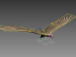 Falcon Bird Rig 3d model preview