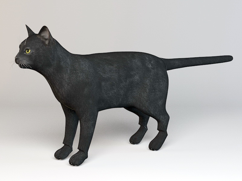Black Cat Rig 3d model Autodesk FBX,Cinema 4D files free ...