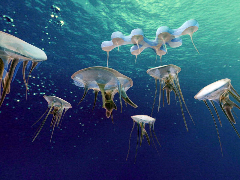 Underwater Jellyfish 3d rendering