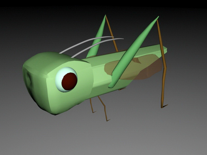 Locust Grasshopper Rig 3d rendering