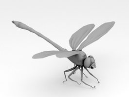 Dragonfly Insect 3d model preview