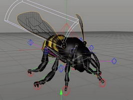Honey Bee Rig 3d preview
