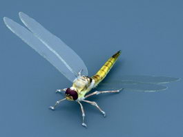 Dragonfly Insect 3d model preview