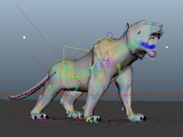 Tiger Animated Rig 3d model preview